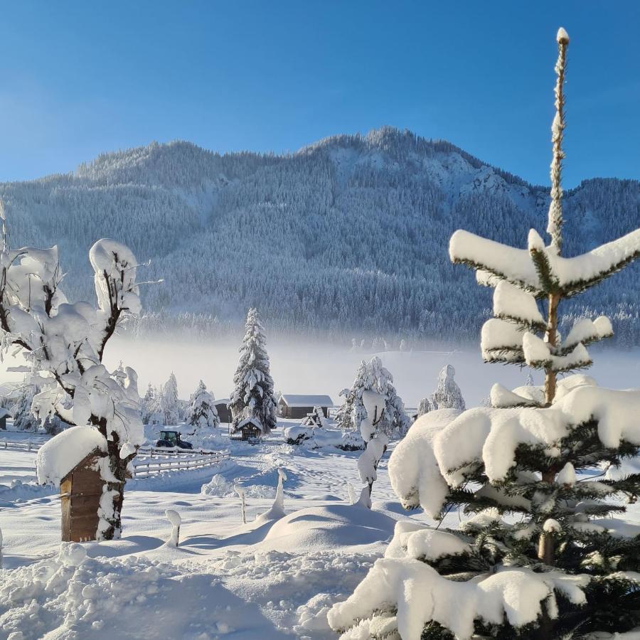 Hotel Winkler-Tuschnig Weissensee Esterno foto