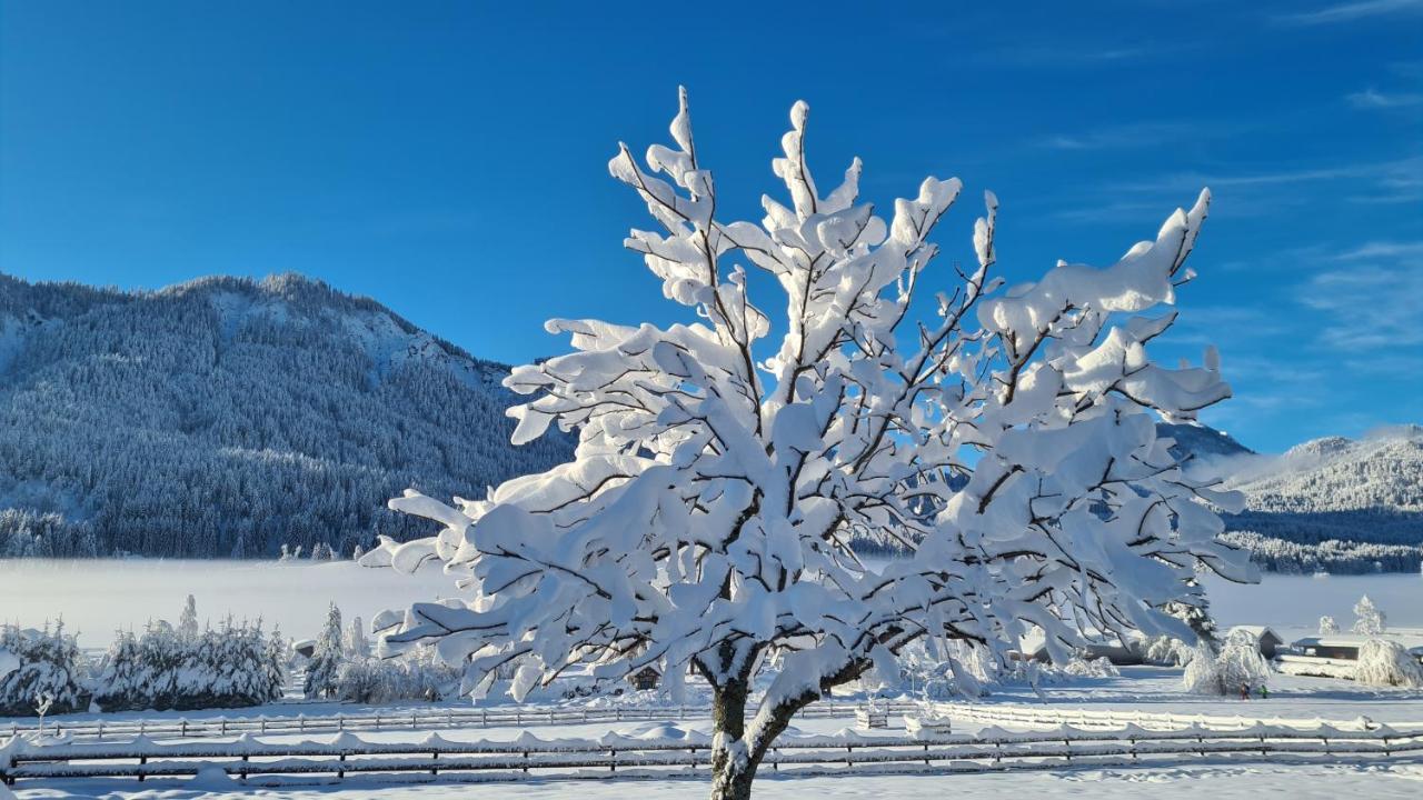Hotel Winkler-Tuschnig Weissensee Esterno foto